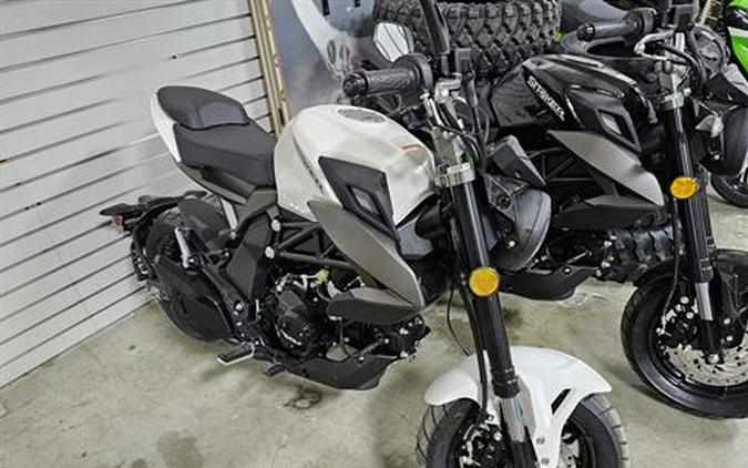 2022 Wolf Brand Scooters Wolf Striker