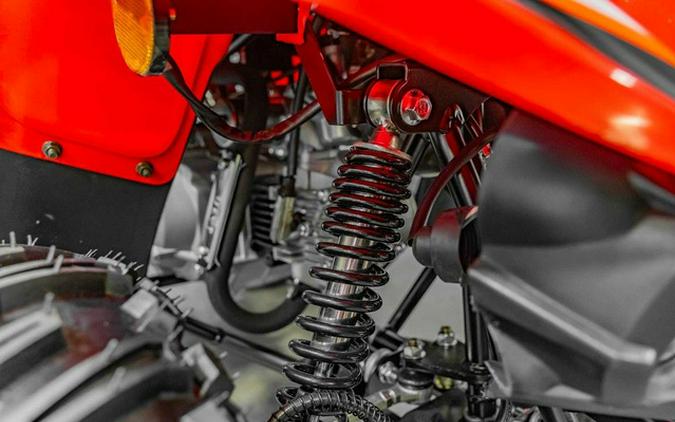 2026 Kayo Fox / Storm 70