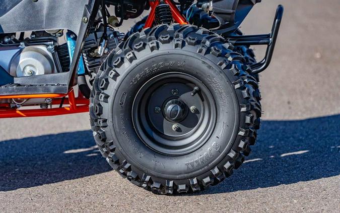 2026 Kayo Fox / Storm 70