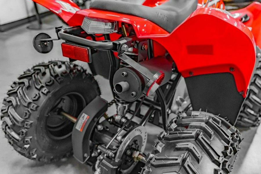 2026 Kayo Fox / Storm 70