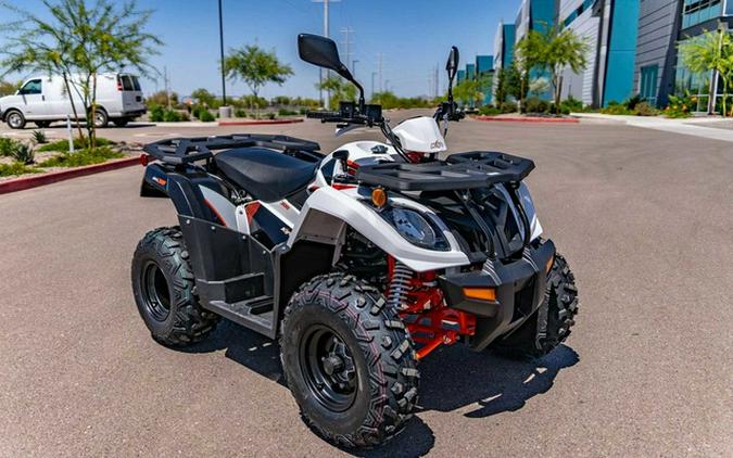 2025 Kayo Bull 300 EFI 300 EFI