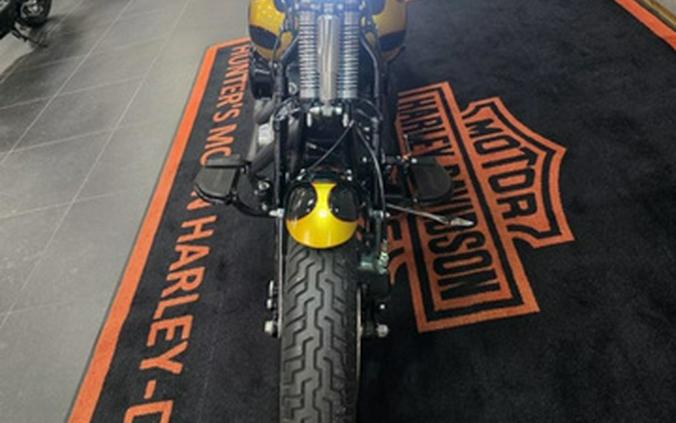 2010 Harley-Davidson FLSTSB - Cross Bones