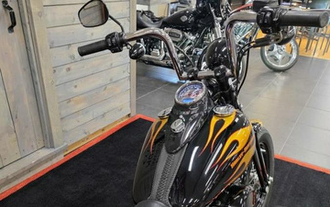 2010 Harley-Davidson FLSTSB - Cross Bones