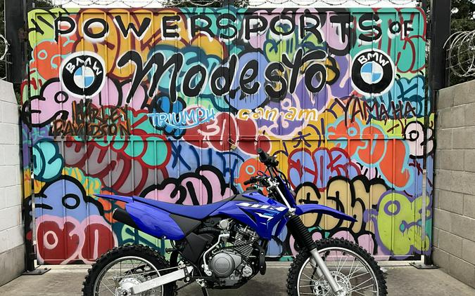 2026 Yamaha TT-R125LE