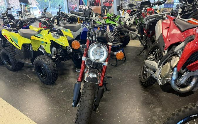 2019 Honda® Monkey