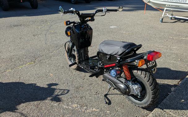 2017 Honda Ruckus
