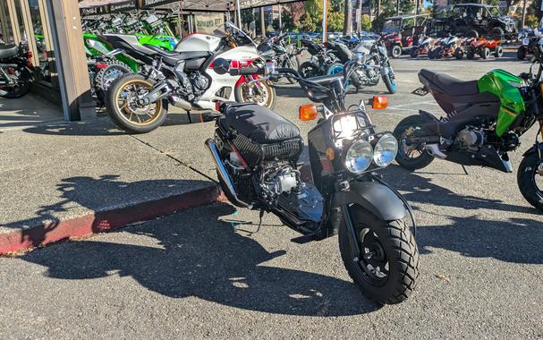 2017 Honda Ruckus