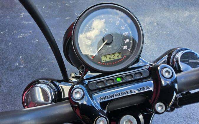 2014 Harley-Davidson Sportster® Forty-Eight®
