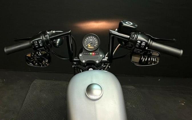 Harley-Davidson Iron 883 2020 XL 883N SILVER