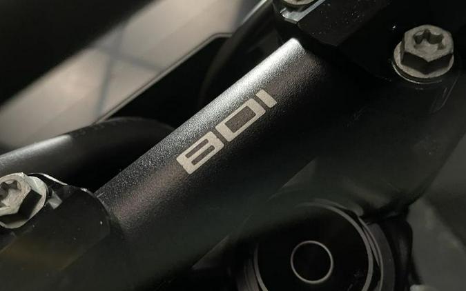 2025 Husqvarna® Svartpilen 801