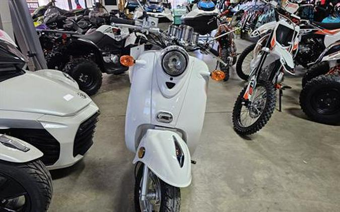 2023 Wolf Brand Scooters Wolf Islander