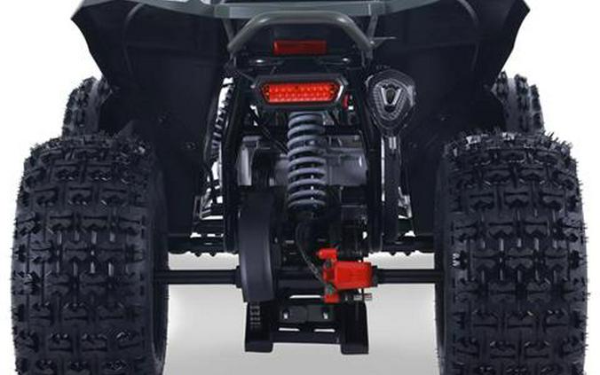 2026 Denago Powersports Trailhawk 10FI