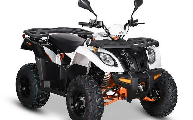2024 Kayo Bull 300 EFI