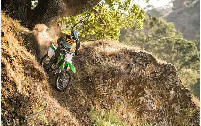 2022 Kawasaki KLX® 300R