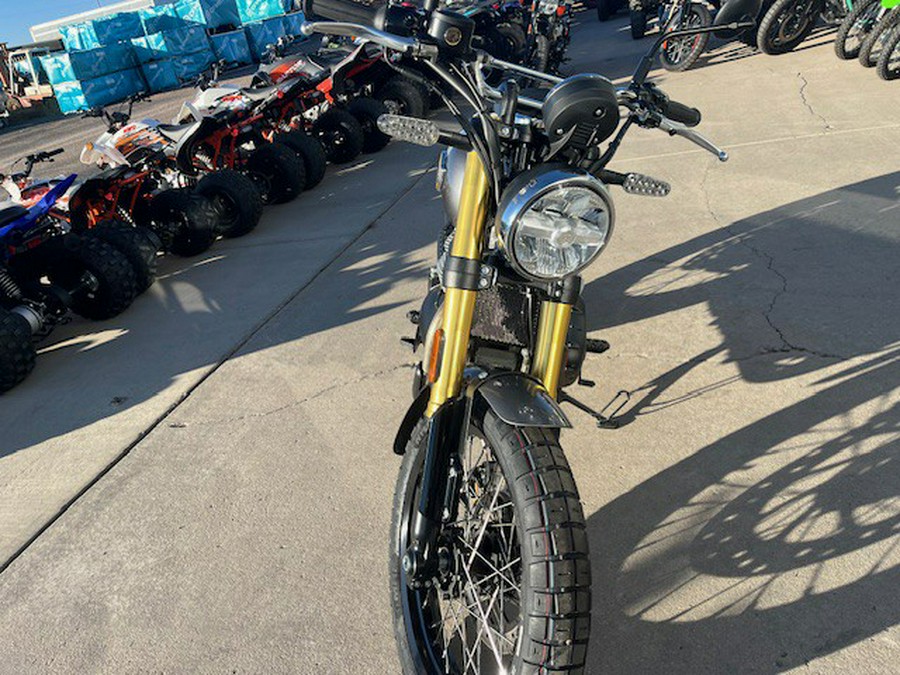 2025 Royal Enfield BEAR 650 GOLDEN SHADOW BLACK