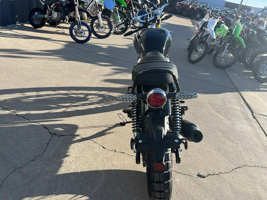 2025 Royal Enfield BEAR 650 GOLDEN SHADOW BLACK