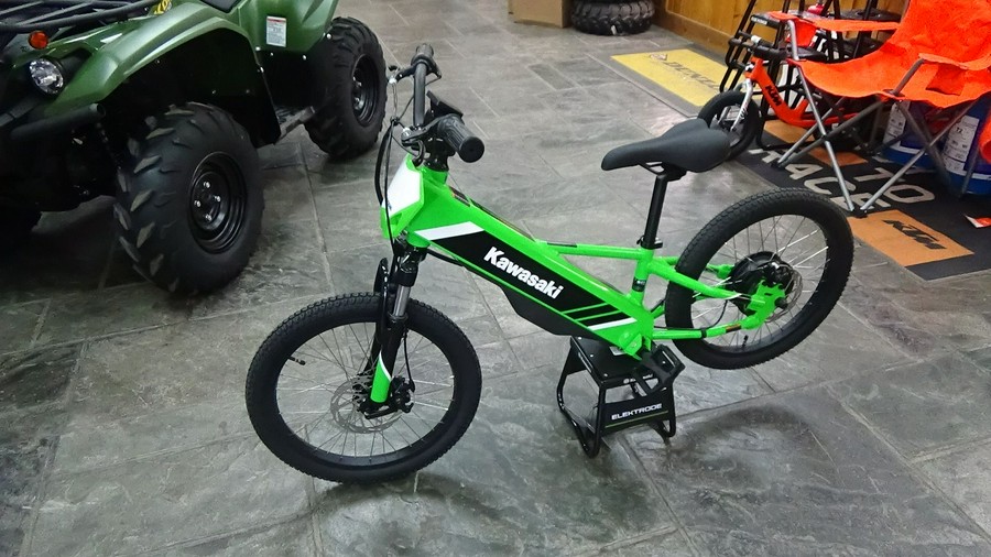 2025 Kawasaki Elektrode 20