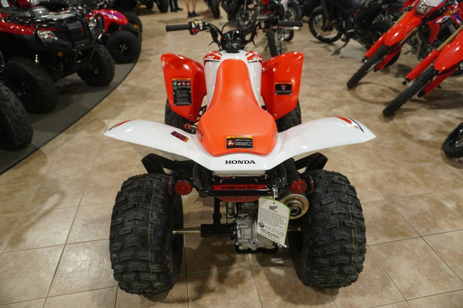 2024 Honda TRX250XR