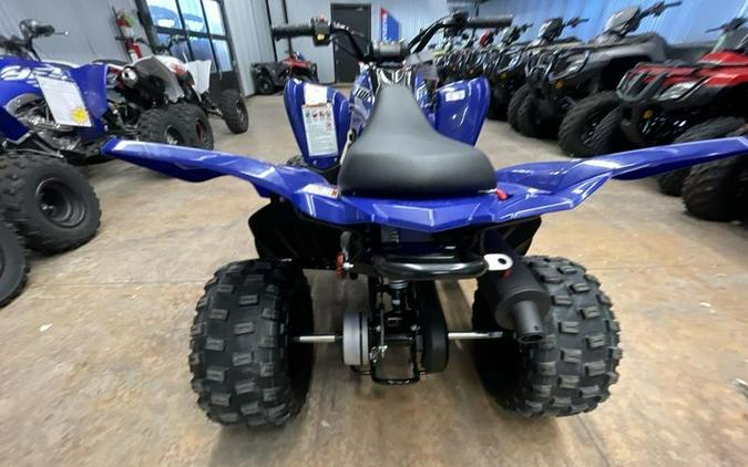 2026 Yamaha Raptor 110