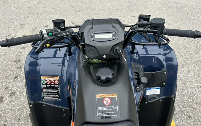 2026 KAWASAKI BRUTE FORCE 300 - K10093