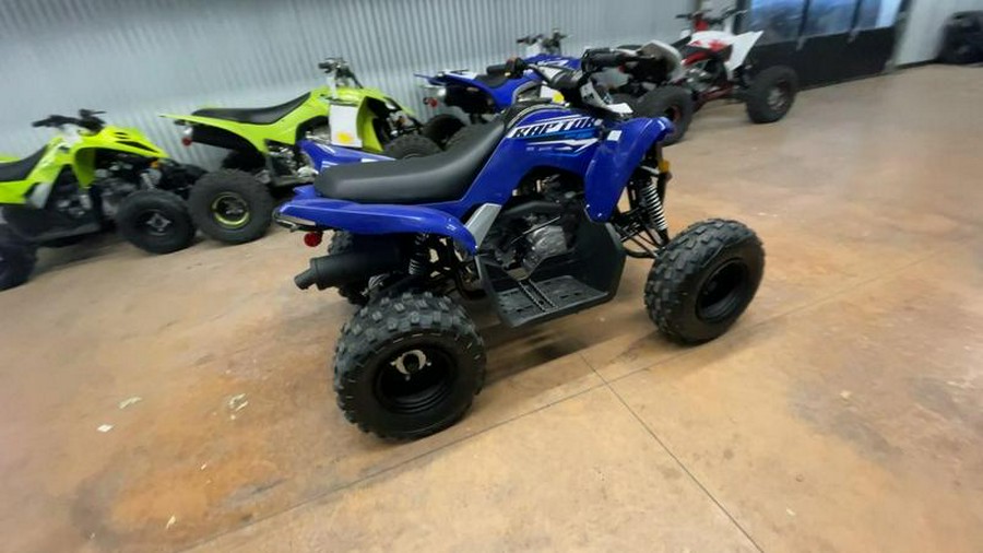 2026 Yamaha Raptor 110