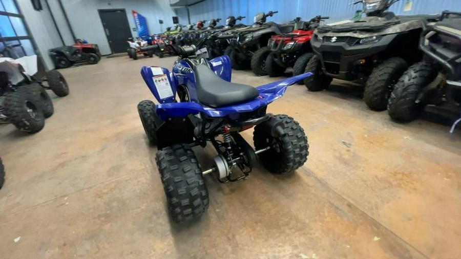 2026 Yamaha Raptor 110