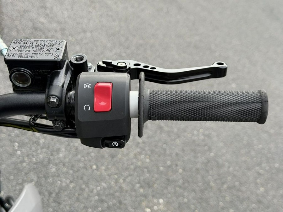 2024 Kawasaki KLX®300SM