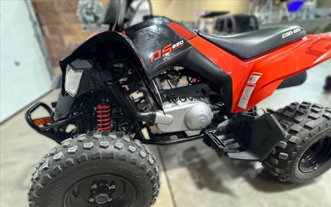 2021 Can-Am DS 250