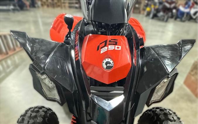 2021 Can-Am DS 250