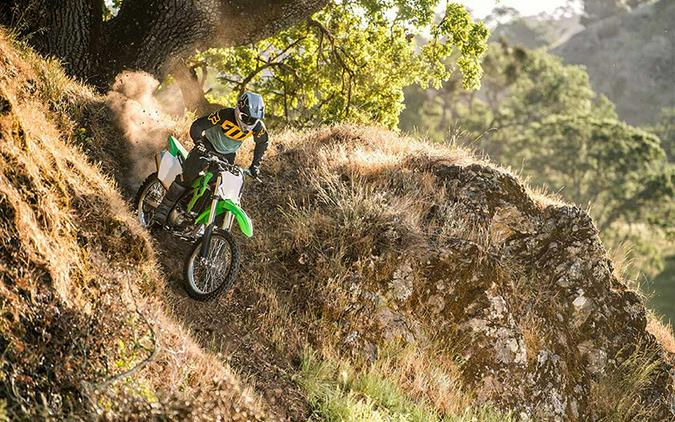 2022 Kawasaki KLX 300R