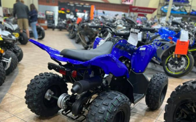 2024 Yamaha Raptor 110