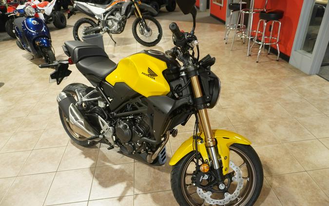 2024 Honda CB300RAR