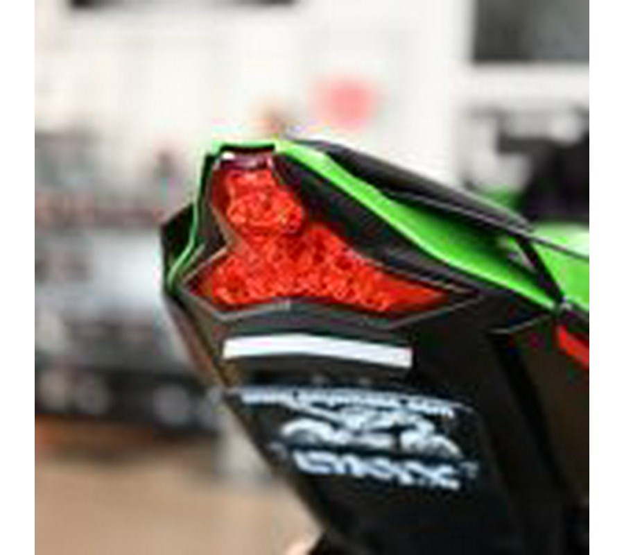 2021 Kawasaki Ninja ZX10R KRT