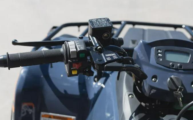 2026 KAWASAKI BRUTE FORCE 300