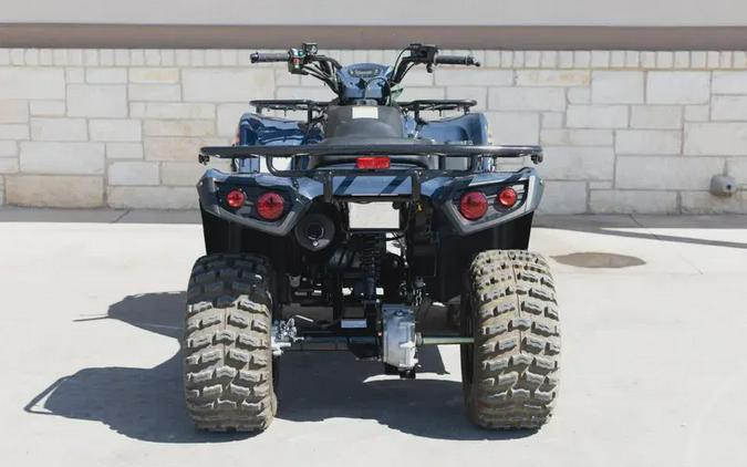 2026 KAWASAKI BRUTE FORCE 300