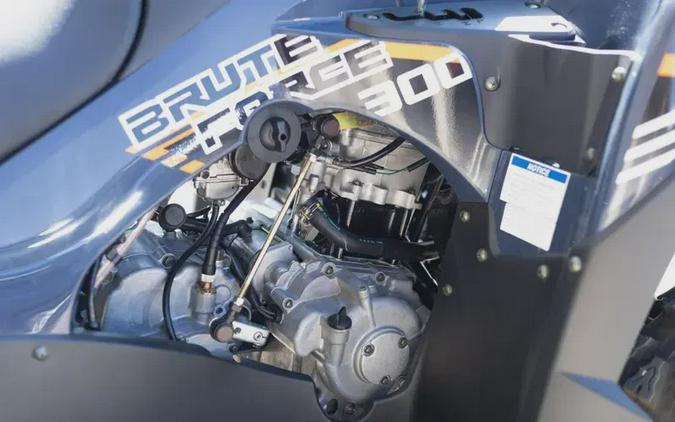 2026 KAWASAKI BRUTE FORCE 300