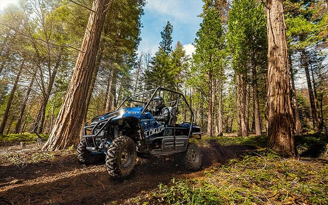 2021 Kawasaki Teryx