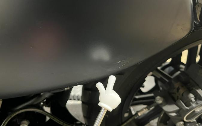 2016 Harley-Davidson Iron 883™