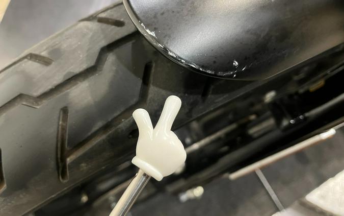 2016 Harley-Davidson Iron 883™