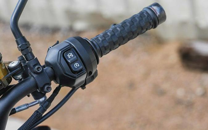 2022 Indian FTR Rally Titanium Smoke