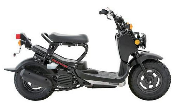 2012 Honda Ruckus