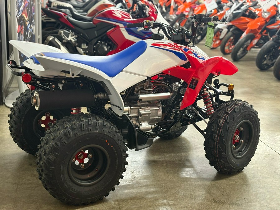 2026 Honda TRX250X