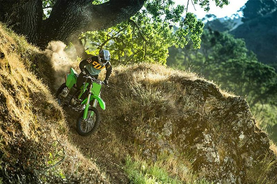 2025 Kawasaki KLX® 300R