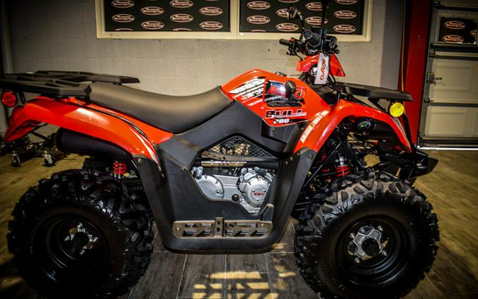 2024 Kayo Bull 300 EFI