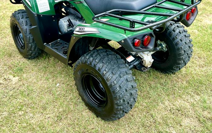 2017 Kawasaki Brute Force 300
