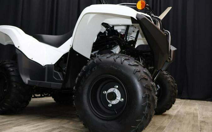 2024 Yamaha Grizzly 90