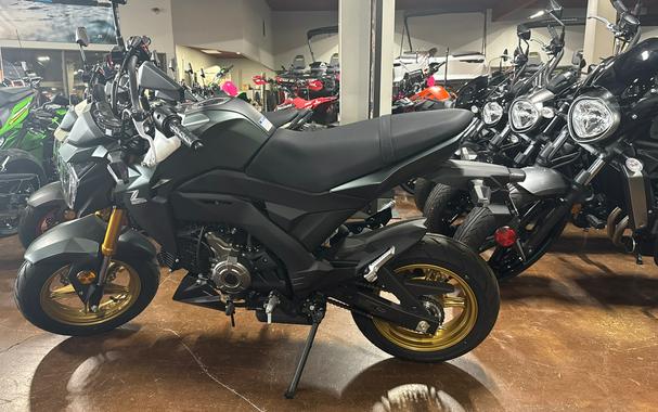 2025 Kawasaki Z125 PRO Base