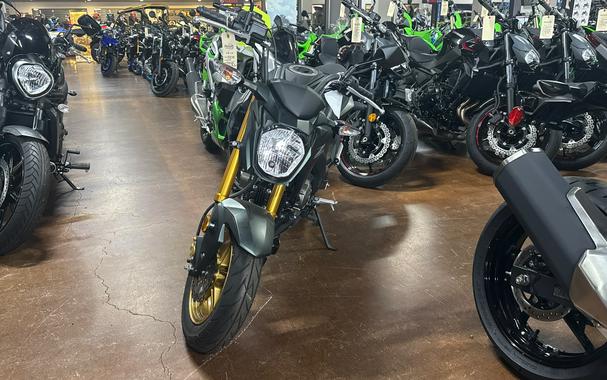 2025 Kawasaki Z125 PRO Base