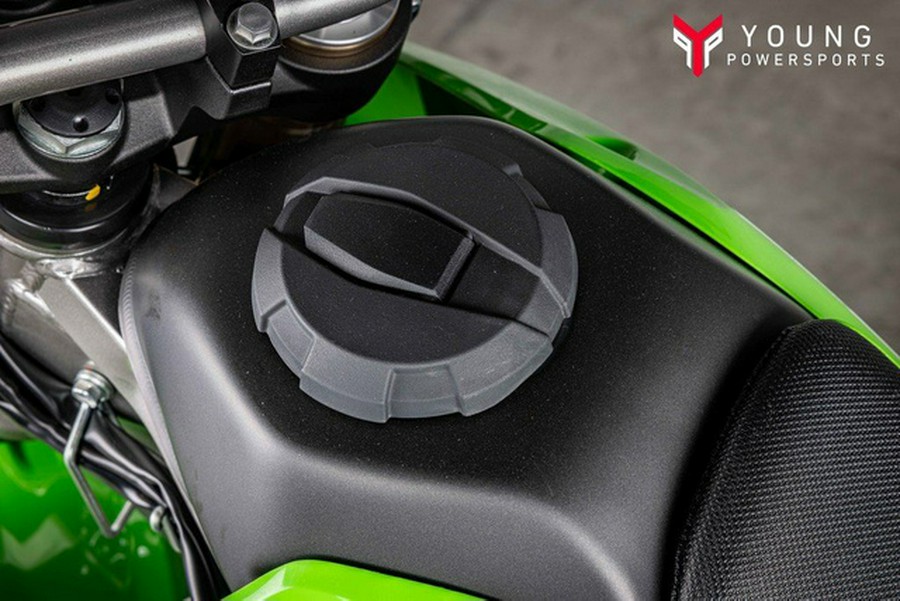 2026 Kawasaki KLX 300