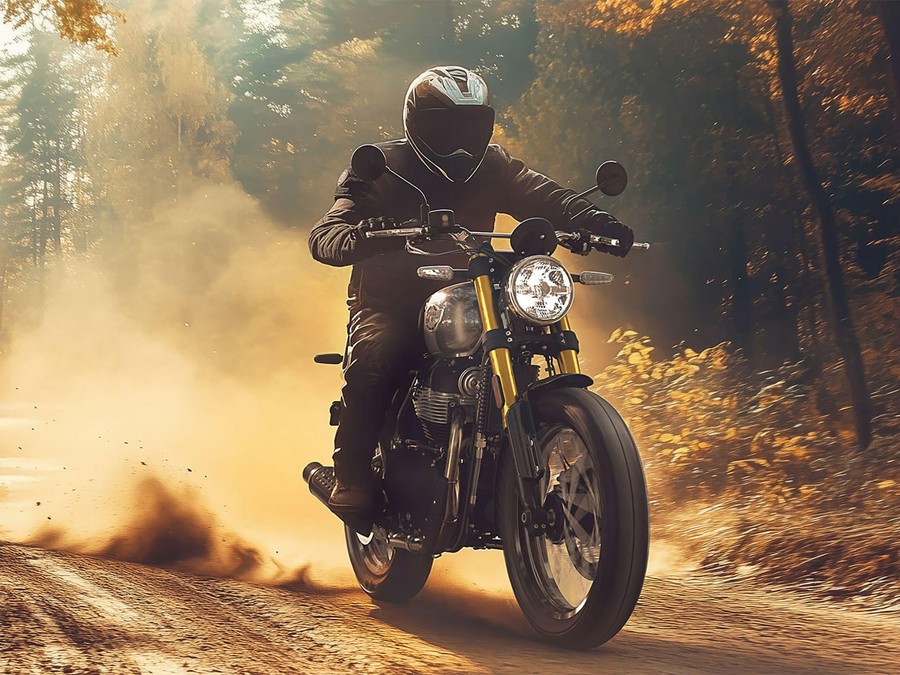 2025 Royal Enfield Bear 650